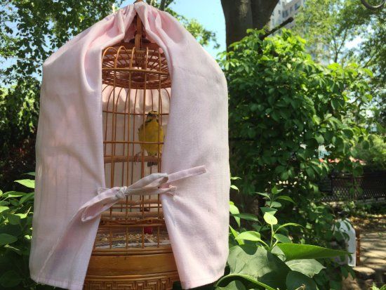 Sara D. Roosevelt Parkı